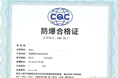 辦理本安防爆認證有哪些具體的要求？